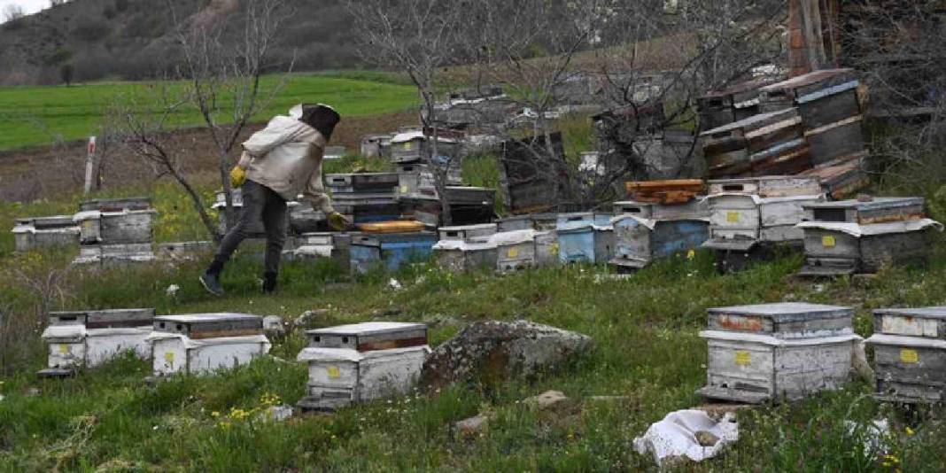 Dede mesleğini köyünde sürdürüyor! Kovan başına 15 kg bal hedefliyor 2